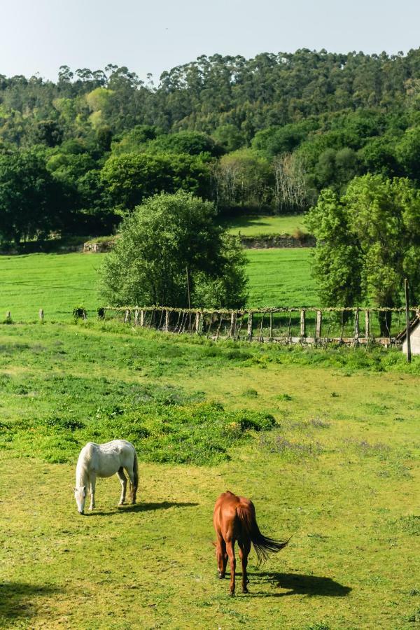 Вилла Quinta De Pindela - Natureza E Tradicao Вила-Нова-ди-Фамаликан Экстерьер фото