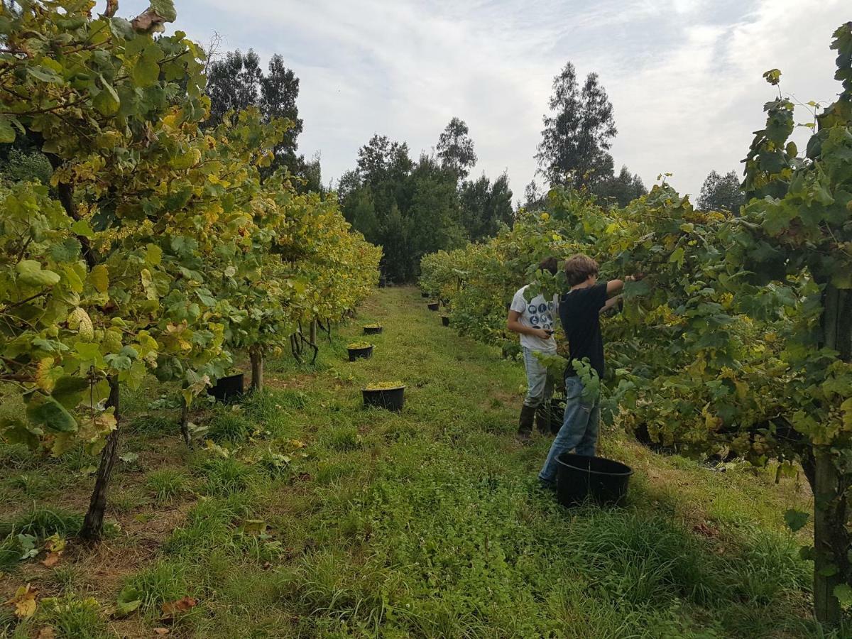 Вилла Quinta De Pindela - Natureza E Tradicao Вила-Нова-ди-Фамаликан Экстерьер фото